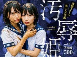 【AIエロ画像500枚】リアル汚辱姫 vol.2 学園編＜バババ書房＞  エロ画像595199